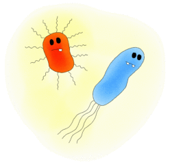 GermToons Microbiology for Kids and Adults