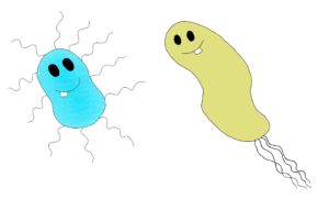 Two-Bacteria